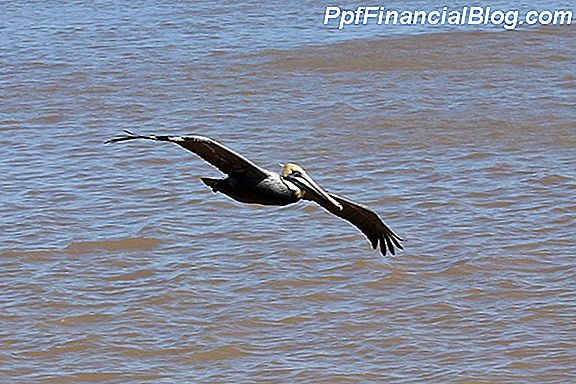 Pelican Water - Clean Water Clean Air Giveaway (Verlopen)