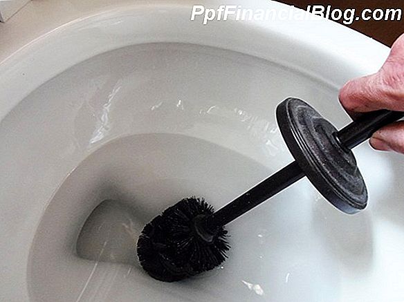 Frugal Toilet Bowl Cleaner