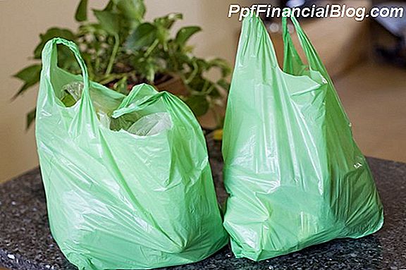 The Plastic Bag Controversy after a Quarter Century