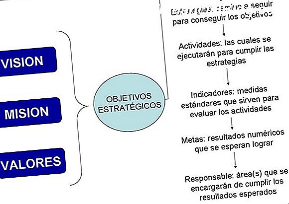 Alternativas al establecimiento de una organización sin fines de lucro