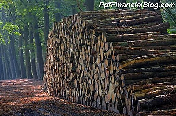 Cálculo de los precios de la madera: una fórmula para los aserraderos