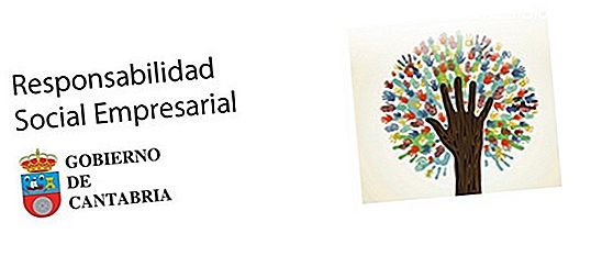 Introducción a la Política de Responsabilidad General.