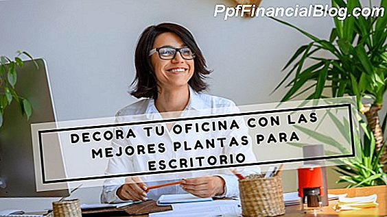 Las mejores plantas de oficina para 2019