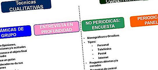 Investigación cuantitativa y cualitativa de segmentación.