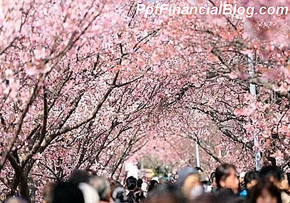 Panduan untuk Berbisnis di Jepang