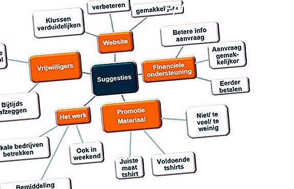 Analyse van interviewgegevens en antwoorden op enquêtes