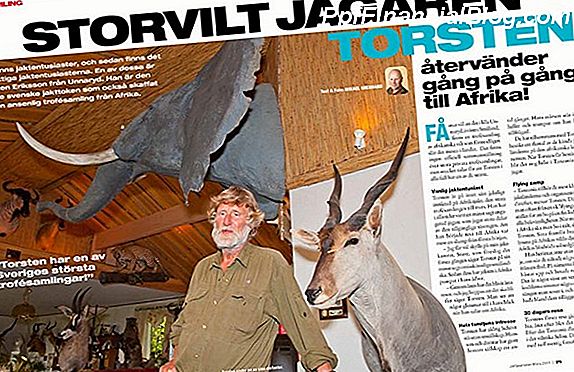 Olika typer av tidningsartiklar för frilansare